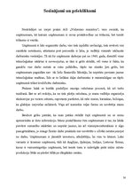 Prakses atskaite 'Prakses atskaite a/s "Vidzemes maiznīca"', 30.