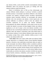 Diplomdarbs 'Mazaizsargātu ceļu satiksmes dalībnieku izdarītie pārkāpumi, to prevencija', 4.