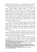 Diplomdarbs 'Mazaizsargātu ceļu satiksmes dalībnieku izdarītie pārkāpumi, to prevencija', 33.