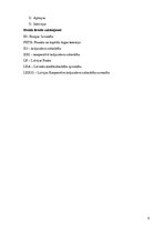 Referāts 'Krājaizdevu sabiedrību loma ekonomikā, to veidošanās process un problēmas', 4.