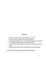 Referāts 'Atkritumi, to radītais piesārņojums', 19.