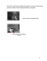 Referāts 'Atkritumi, to radītais piesārņojums', 25.