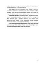 Referāts 'Komunikācija organizācijā', 12.