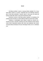 Referāts 'Pasūtījuma slepkavības Latvijā - kriminogēnās iezīmes', 2.