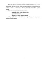 Referāts 'Šaubīgo un bezcerīgo debitoru uzskaite un novērtēšana', 5.