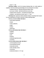 Referāts 'SIA "Novatours" mārketinga analīze', 4.