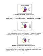 Referāts 'SIA "Novatours" mārketinga analīze', 16.
