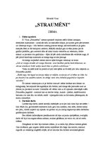 Eseja 'Ziemas gadalaika analīze E.Virzas darbā "Straumēni"', 1.