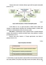 Diplomdarbs 'Sociālo pedagogu un sociālo darbinieku sadarbība', 20.