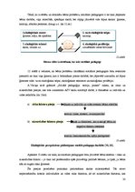 Diplomdarbs 'Sociālo pedagogu un sociālo darbinieku sadarbība', 30.