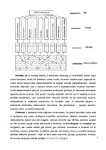 Konspekts 'Aizenka tipoloģija', 3.