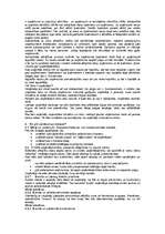 Referāts 'Biznesa plānošana brīvajam tirgum', 4.