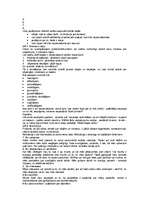 Referāts 'Biznesa plānošana brīvajam tirgum', 6.