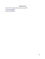 Prakses atskaite 'Vērojumu prakses atskaite', 20.