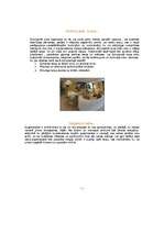 Referāts 'Māja', 4.