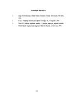 Referāts 'B.Ņūmenas teorijas analīze', 11.