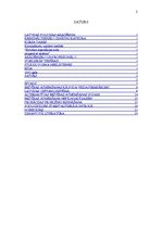 Referāts 'Brīvības atņemšanas soda progresīvā sistēma', 2.