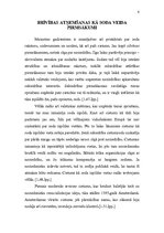 Referāts 'Brīvības atņemšanas soda progresīvā sistēma', 6.