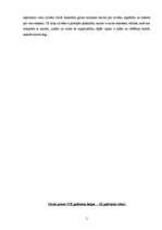 Referāts 'Sociālās vērtības Bizantijas literatūrā', 5.