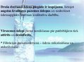 Prezentācija 'Dzeramā ūdens piesārņojums', 3.