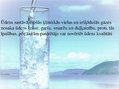 Prezentācija 'Dzeramā ūdens piesārņojums', 4.