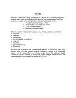 Referāts 'Krājumu uzskaites metodes', 3.