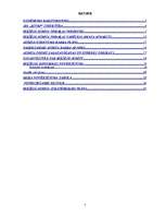 Referāts 'Iekšējais audits uzņēmumā SIA "RZVBP"', 2.