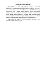 Referāts 'Iekšējais audits uzņēmumā SIA "RZVBP"', 3.