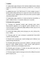 Referāts 'Iekšējais audits uzņēmumā SIA "RZVBP"', 9.