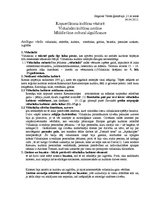 Konspekts 'Viduslaiku kultūras nozīme', 1.