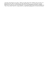 Eseja 'US History and Government: Landmark Supreme Court Cases', 2.