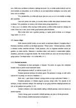 Referāts 'Auras', 5.