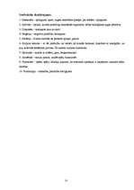 Referāts 'Auras', 18.