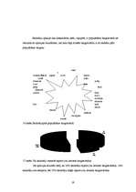 Referāts 'Žargoni skolēnu leksikā ', 19.