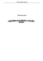 Referāts 'Mārketinga plāns SIA "Infinia"', 1.