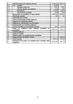 Referāts 'Mārketinga plāns SIA "Infinia"', 16.