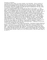 Eseja 'Into The Wild', 1.