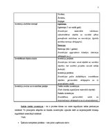 Referāts 'Investīcijas tūrismā', 5.