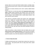 Referāts 'Investīcijas tūrismā', 8.