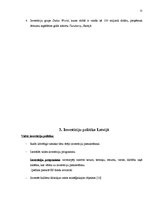 Referāts 'Investīcijas tūrismā', 11.