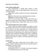 Referāts 'Nierakmeņi', 1.