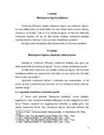 Referāts 'Mantojuma līgums', 4.