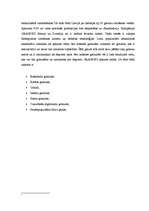 Prakses atskaite 'Prakses atskaite mārketingā', 2.