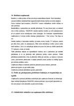 Prakses atskaite 'Prakses atskaite mārketingā', 10.