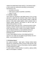 Prakses atskaite 'Prakses atskaite mārketingā', 11.