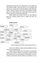 Referāts 'Skolotāja personības loma pedagoģiskajā procesā', 3.