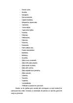 Referāts 'Skolotāja personības loma pedagoģiskajā procesā', 5.