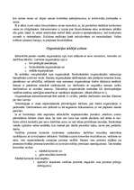 Konspekts 'Organizācijas raksturojums', 3.