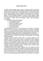 Konspekts 'Organizācijas raksturojums', 7.