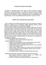 Konspekts 'Organizācijas raksturojums', 9.